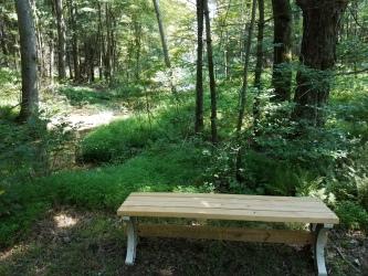 bench along hiking trail